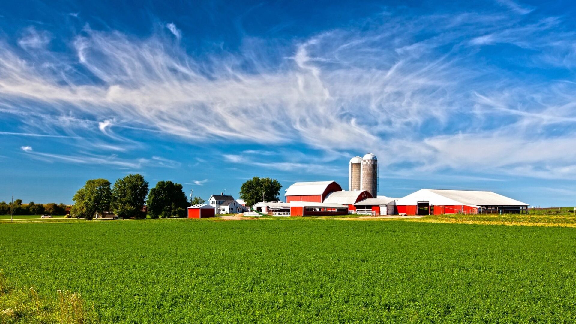 Welcome to Healthy Iowa County